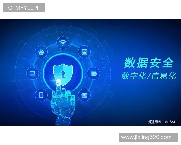 重磅专题：探索WE平台在数字时代的创新转型与未来发展路径