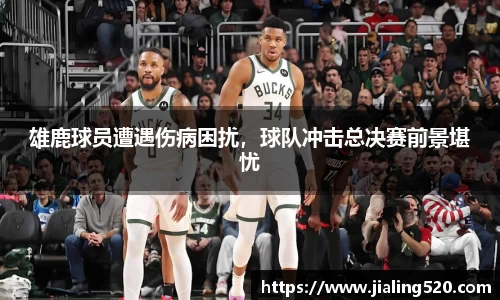 雄鹿球员遭遇伤病困扰，球队冲击总决赛前景堪忧
