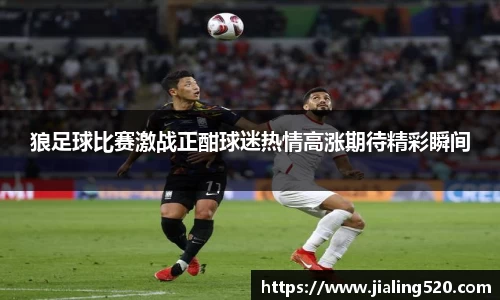 狼足球比赛激战正酣球迷热情高涨期待精彩瞬间
