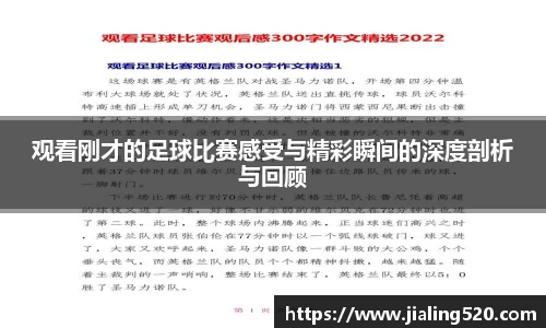 观看刚才的足球比赛感受与精彩瞬间的深度剖析与回顾