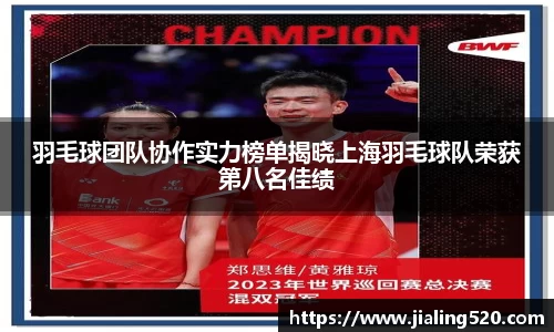 羽毛球团队协作实力榜单揭晓上海羽毛球队荣获第八名佳绩